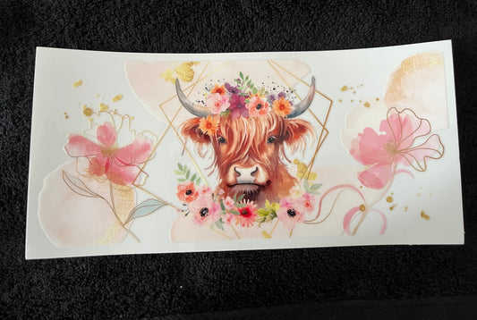 #013 cows