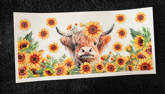 #012 cows