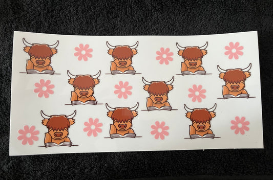 #016 cows